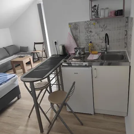 公寓 Markovi Konaci 特雷比涅